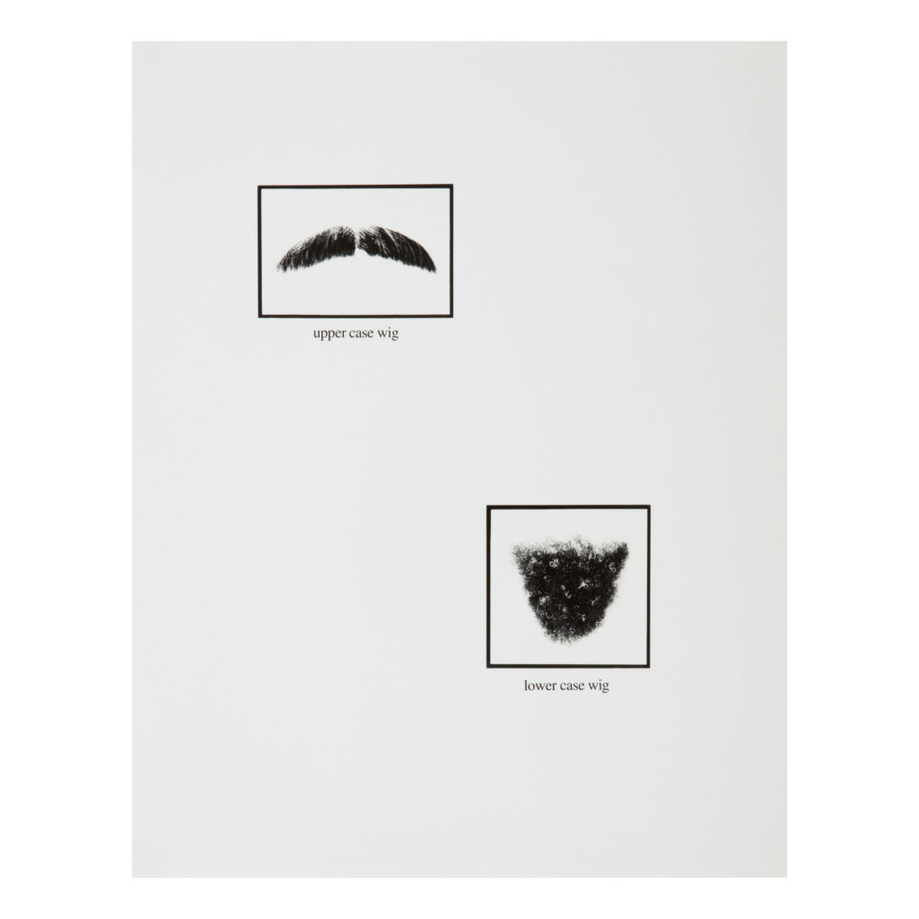 View full screen - View 1 of Lot 6. LORNA SIMPSON | UNTITLED (UPPER-CASE AND LOWER-CASE WIGS).