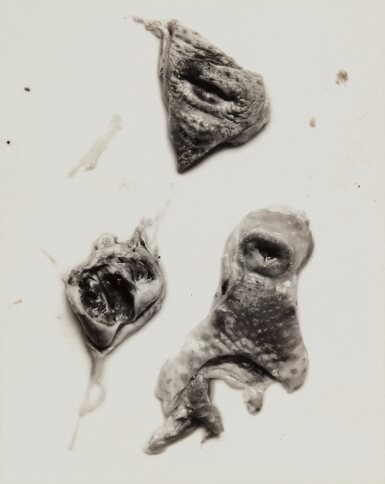 View full screen - View 1 of Lot 25. 'Negative #91'.