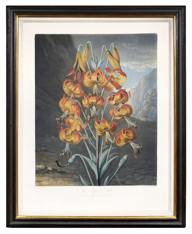 Cover image 0