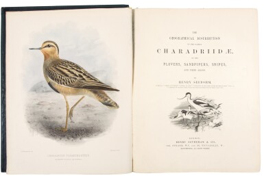 View full screen - View 1 of Lot 213. Seebohm, Henry | A classic monograph of the shore birds of the world.