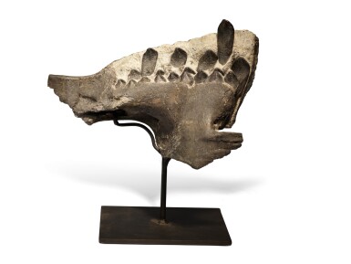 View full screen - View 1 of Lot 10. Camarasaurus Jaw With Teeth.