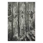 Poplars, Owens Valley, California