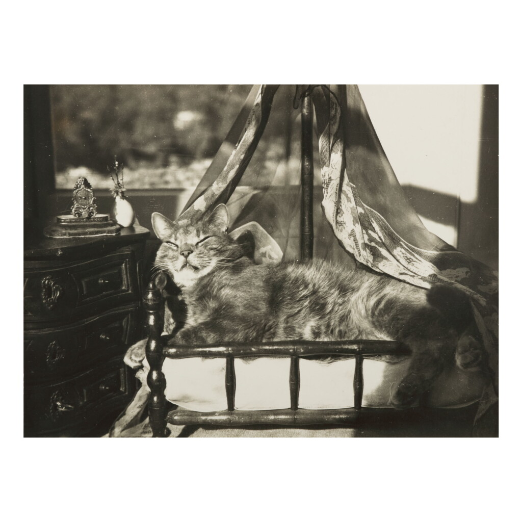 全螢幕檢視 - 查看96CLAUDE CAHUN (LUCY SCHWOB) | 'LA CHAMBRE DU CHAT'的1