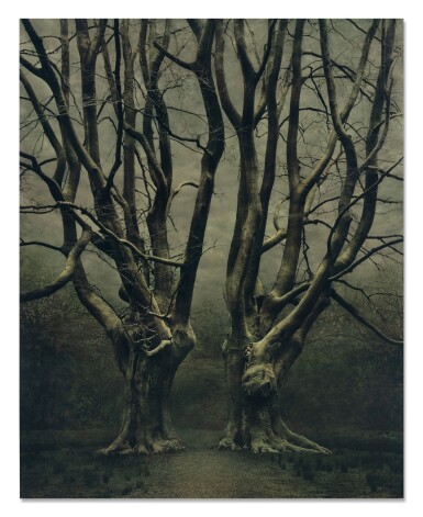 View full screen - View 1 of Lot 101. XTERIORS IX (Tree) .