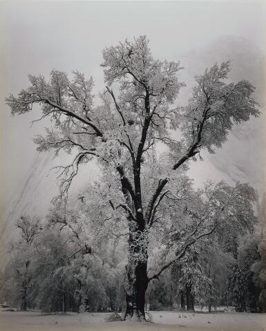 View full screen - View 1 of Lot 76. 'Winter, Yosemite Valley' (Oak Tree, Snowstorm).