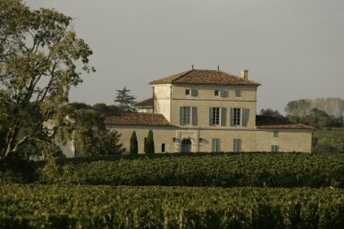View full screen - View 1 of Lot 310. Château La Fleur Pétrus 1998 (12 BT).