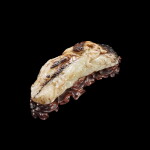 A finely carved white and russet jade 'dragon' brushrest, Yuan - early Ming dynasty | 元至明初 白玉雙螭穿雲紋筆擱
