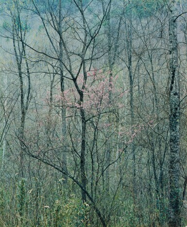 View full screen - View 1 of Lot 676. Intimate Landscapes.