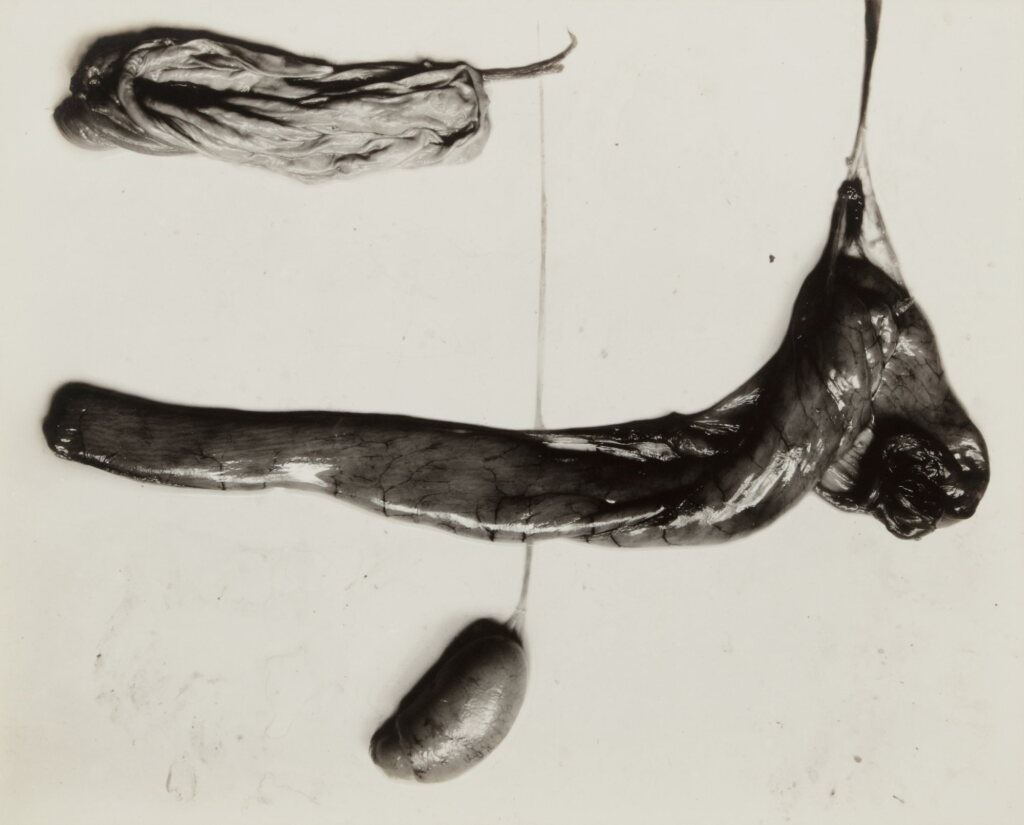 View full screen - View 1 of Lot 24. 'Negative #90'.