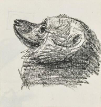 View full screen - View 1 of Lot 85. Tête de Pomeranian.