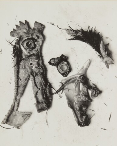 View full screen - View 1 of Lot 81. 'Negative #70' (Chicken Parts).