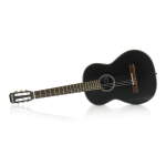 Limited Edition Black Redwood & Tea Wood Classical Acoustic Guitar, 2009