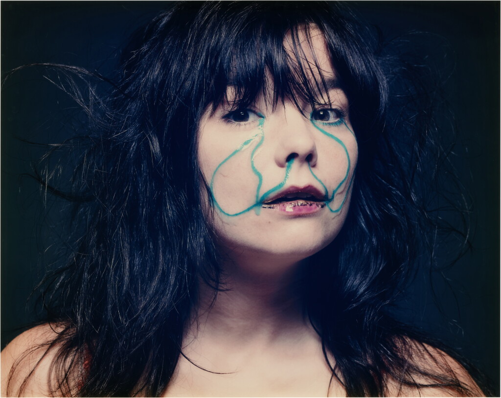 View full screen - View 1 of Lot 269. Bjork (Poisson-Nageur).