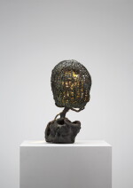 Light Bronze Mesh (137_2019)