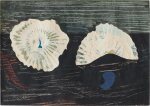 Muschelblumen