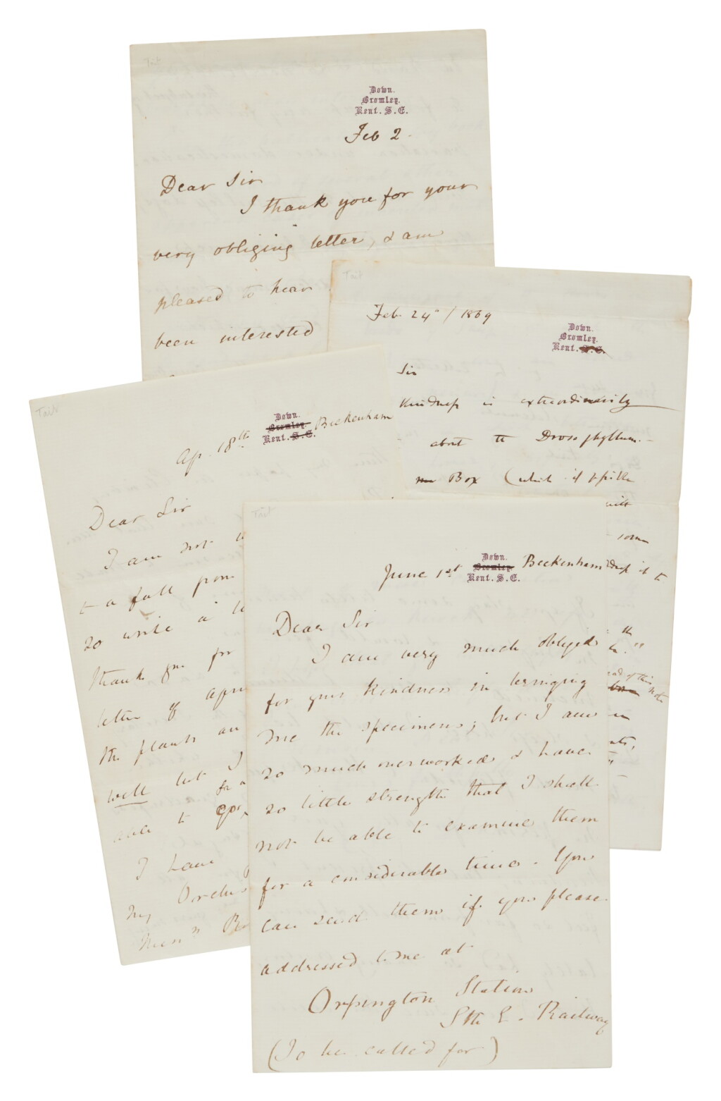 View full screen - View 1 of Lot 1031. Darwin, Charles | A fine series of letters on tailless dogs and rare carnivorous plants.