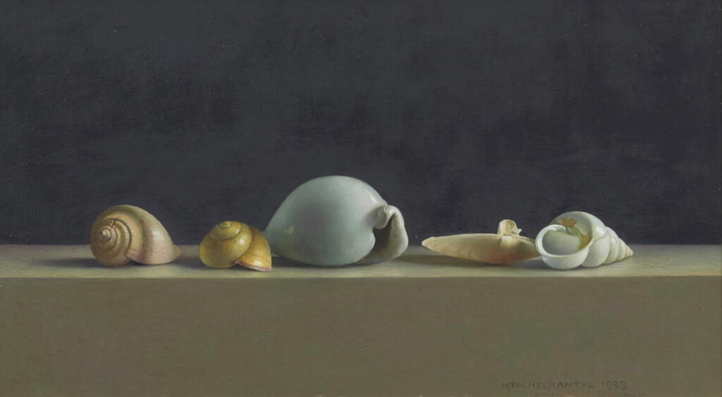 View full screen - View 1 of Lot 22. Schelpen stilleven (Seashells still life) .