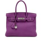 Anémone Togo Birkin 30 Palladium Hardware, 2014