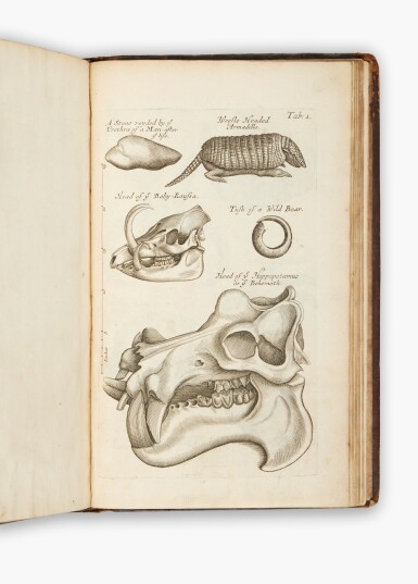 View full screen - View 1 of Lot 114. Grew, Nehemiah | Museum Regalis Societatis, first edition of the earliest catalogue of the collections of the Royal Society.
