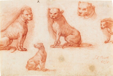 View full screen - View 1 of Lot 25. Four studies of a mastiff dog and another dog.