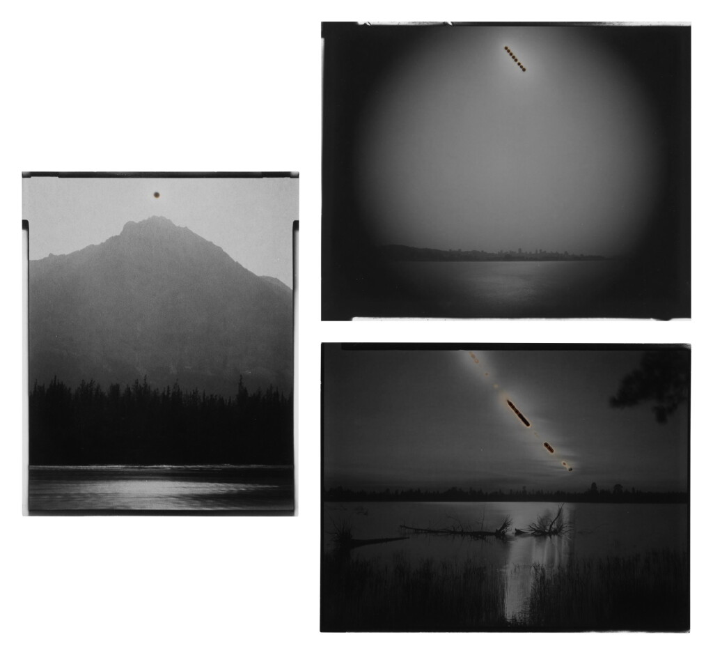 View full screen - View 1 of Lot 30. Sunburned GSP (3 Photographs).