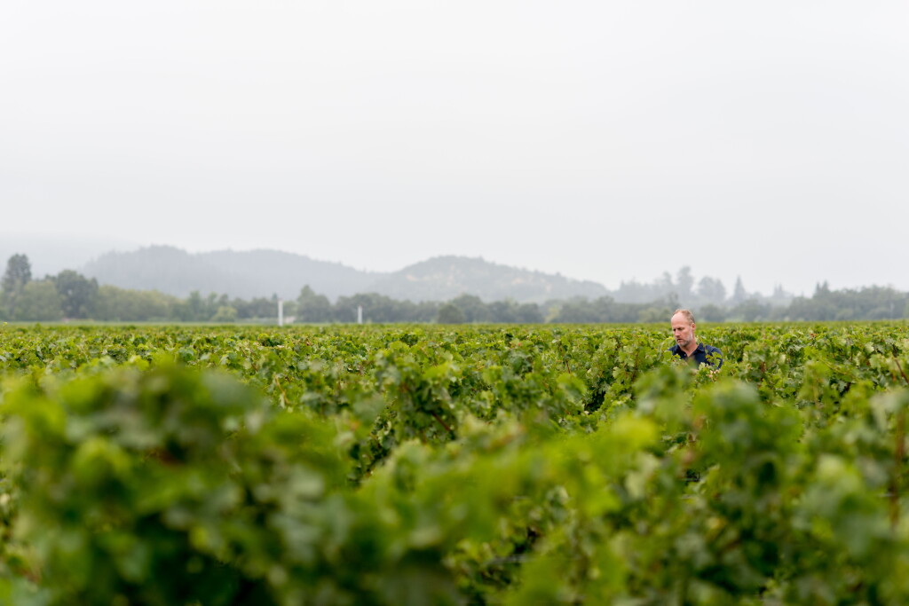 View full screen - View 1 of Lot 5. Schrader Cellars | 1-2-3 Knockout: Double Magnum Wine Trio from One Spectacular Vintage.