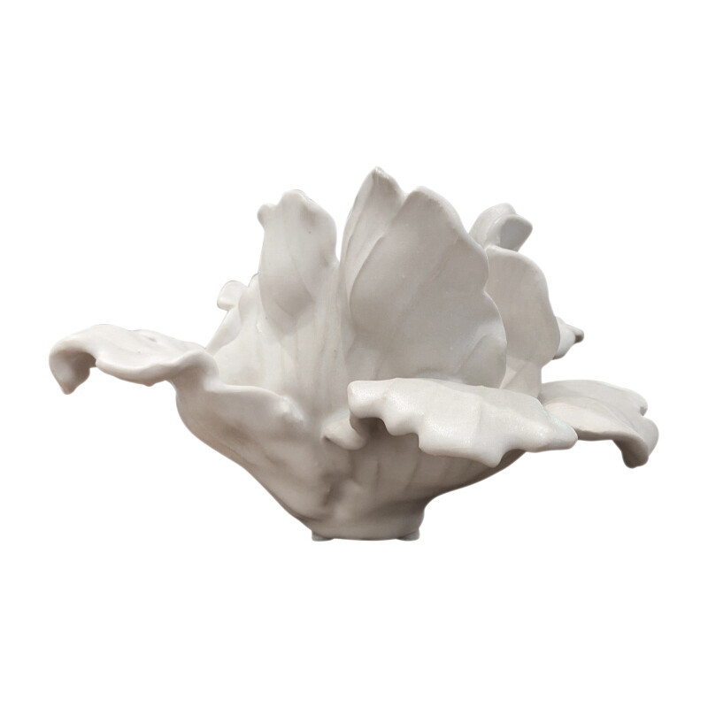 Cover image 0