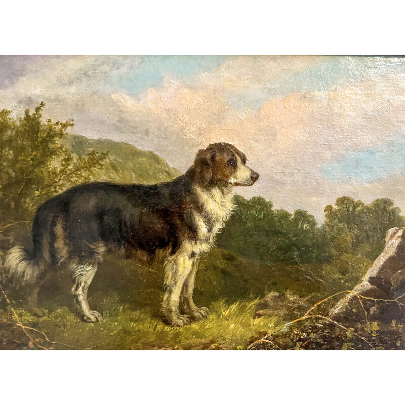 Cover image 0