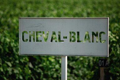 View full screen - View 1 of Lot 7716. Château Cheval Blanc 1982 (4 BT).