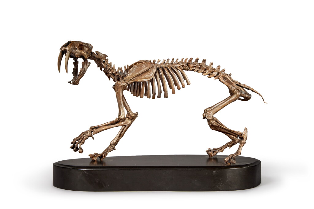 View full screen - View 1 of Lot 234. A Bronze Sculpture of a Saber-Toothed Tiger.