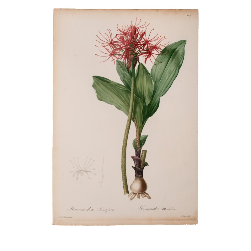 Cover image 0