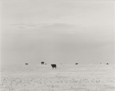 View full screen - View 1 of Lot 71. 'North of Briggsdale, Colo.'.