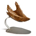 Triceratops Complete Beak — Predentary