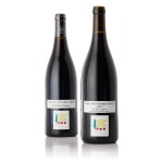 Domaine Prieuré Roch Nuits St. Georges, Premier Cru Vieilles Vignes "Vertical" (4 BT)