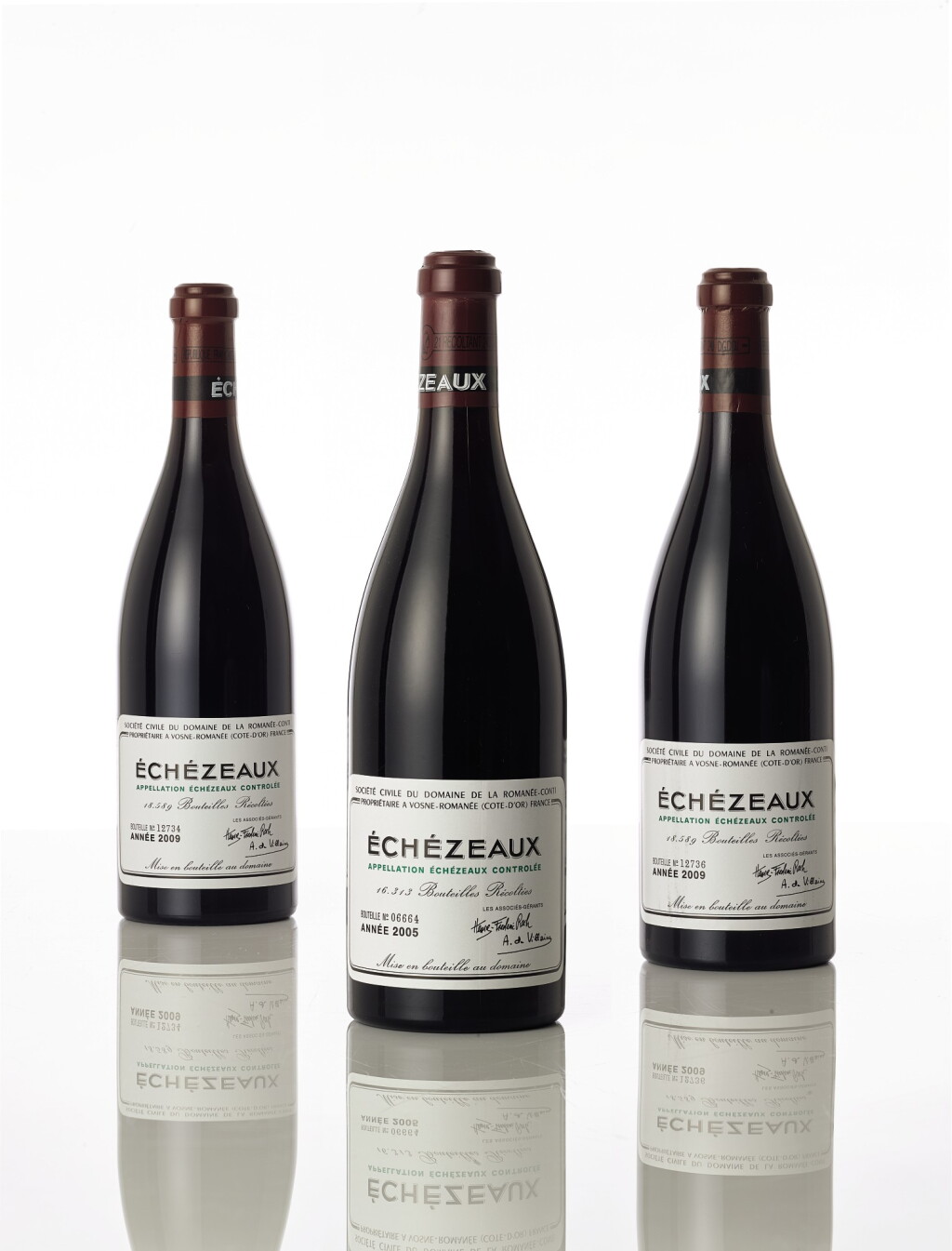 View full screen - View 1 of Lot 6045. Echézeaux 2009 Domaine de la Romanée-Conti (3 BT).
