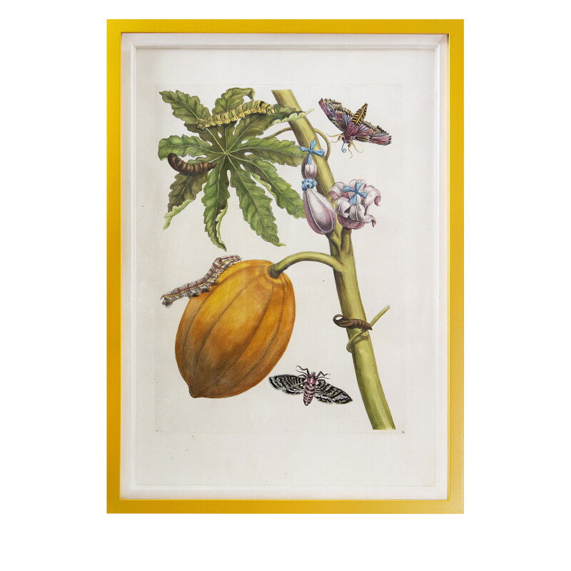 Cover image 0