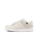 Nike SB Dunk Low Premium WP 'Medicom 5' | Size 9.5
