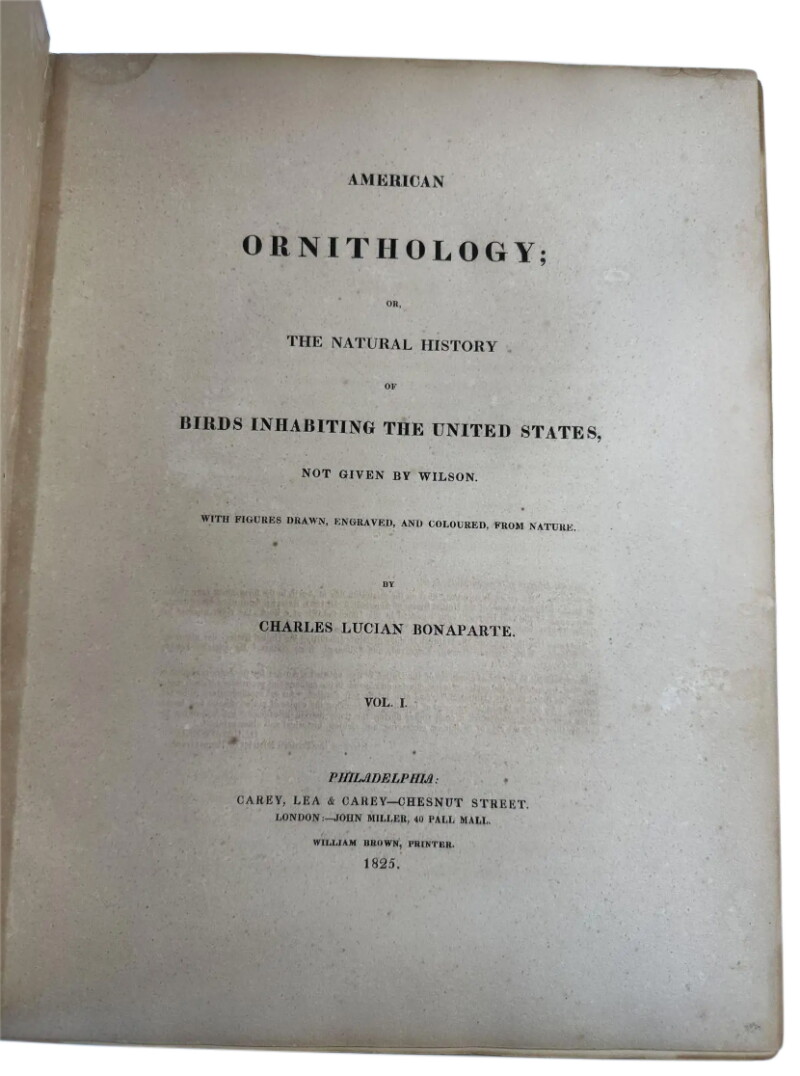 Cover image 0