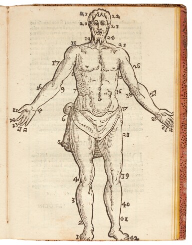 View full screen - View 1 of Lot 176. Gesualdo, Plutosofia, Padua, 1592, old patterned boards.