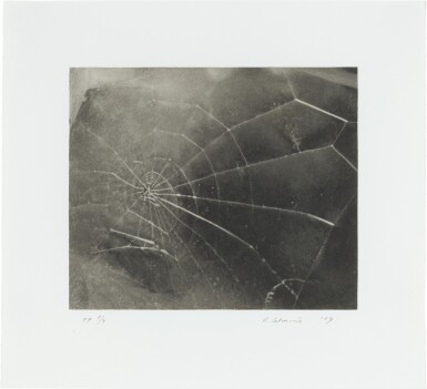 View full screen - View 1 of Lot 449. Spider Web.