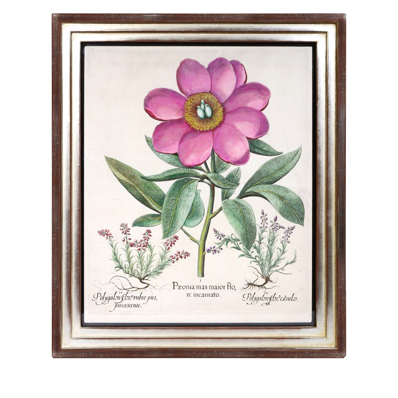 Cover image 0