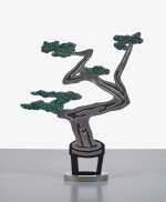 Bonsai Tree