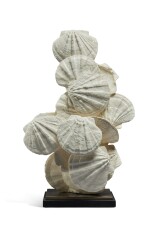 Saint-Jacques Shell Fossil Sculpture