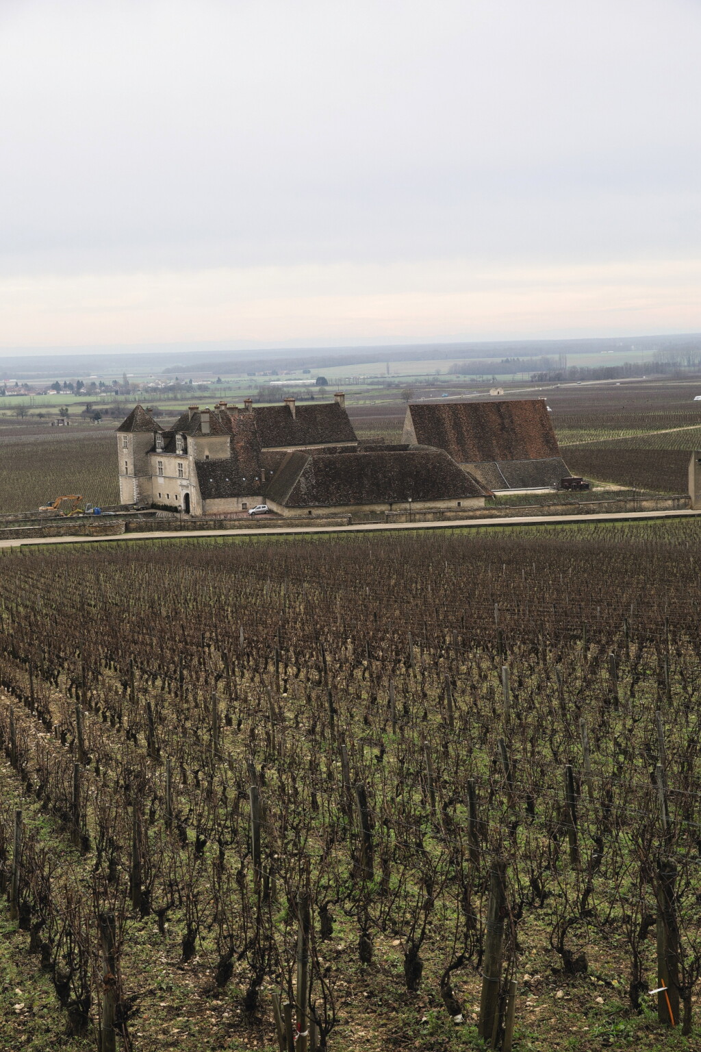 View full screen - View 1 of Lot 6126. Burgundy White Mixed lots (10 BT).