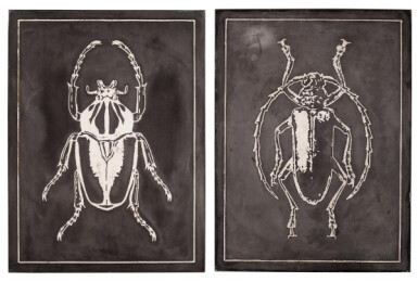 View full screen - View 1 of Lot 31. Franz Josef Steger and Carl Ernst Boc, Leipzig, Germany, 19th century | Pair of Didactic Panels Depicting Scarabs.