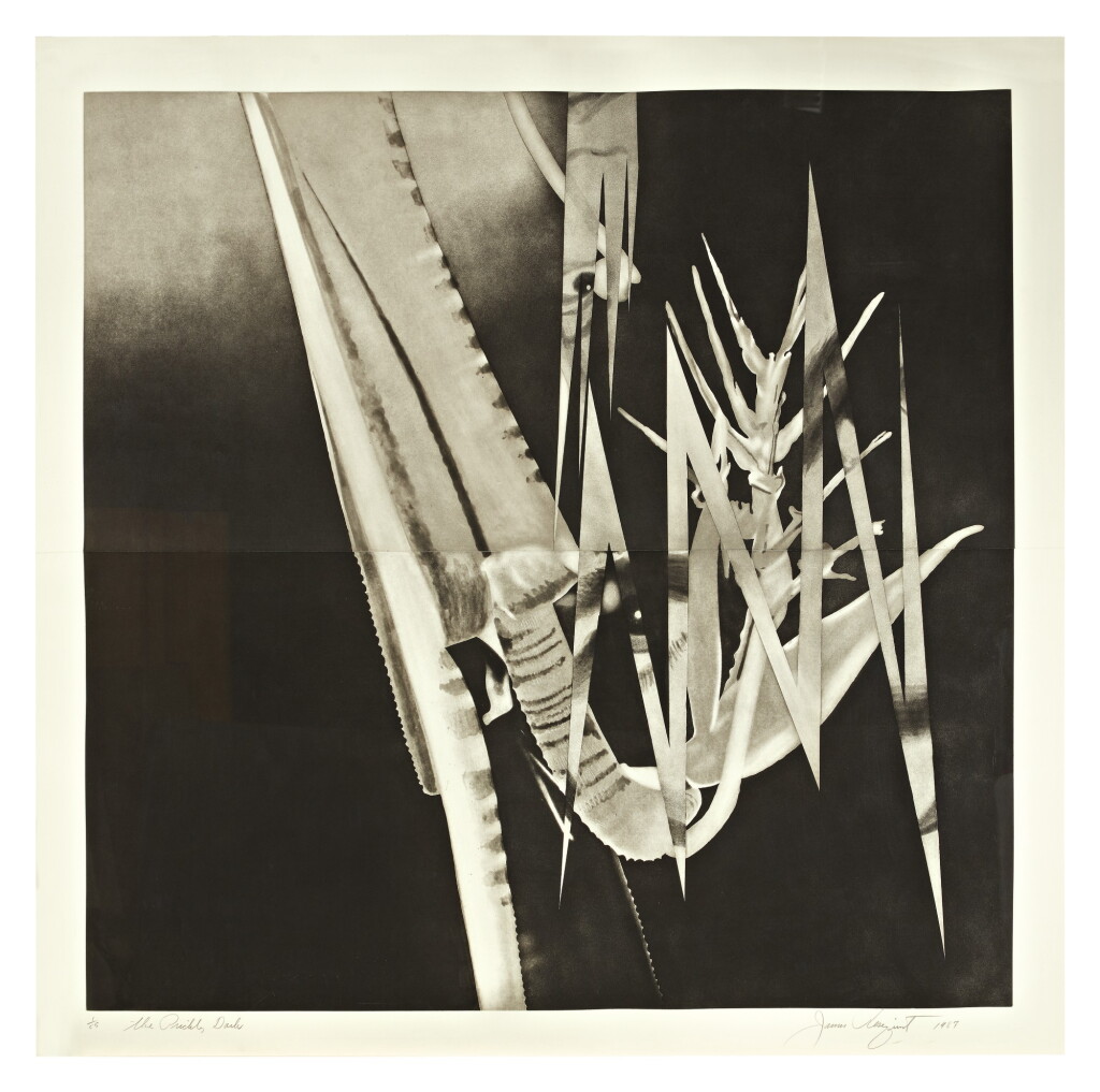 View full screen - View 1 of Lot 102. JAMES ROSENQUIST | THE PRICKLY DARK (GLENN 212).