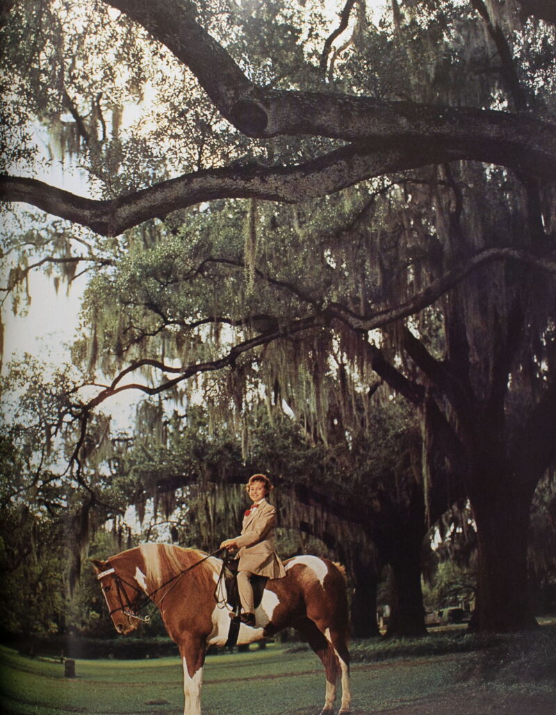 Cover image 0