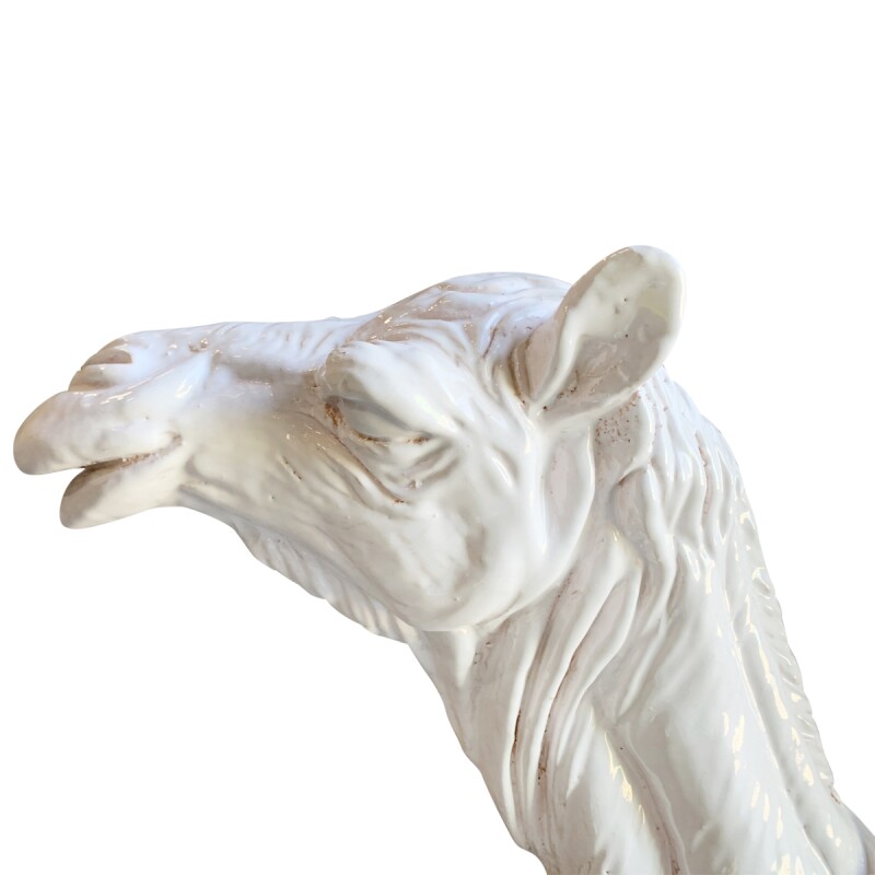 Cover image 0