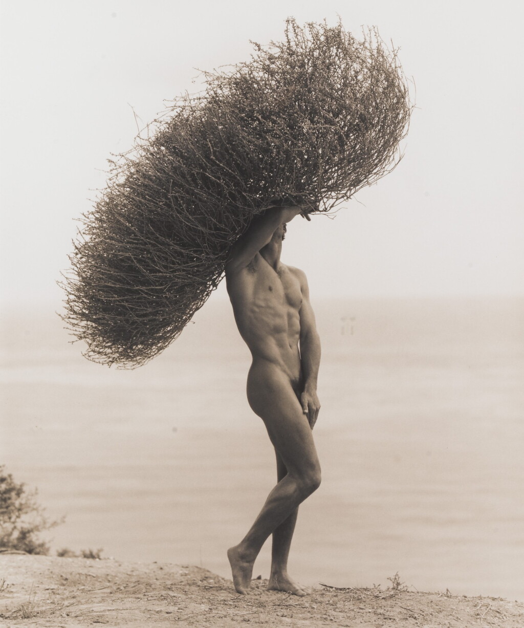 View full screen - View 1 of Lot 13. Herb Ritts | Male Nude with Tumbleweed, Paradise Cove, 1986 .