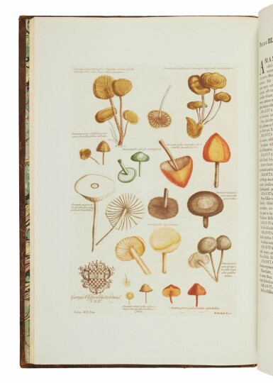 View full screen - View 1 of Lot 31. Martyn, John | The Rous-Fitzwilliam-Hesketh copy of the first botanical book to be illustrated with color-printed plates.